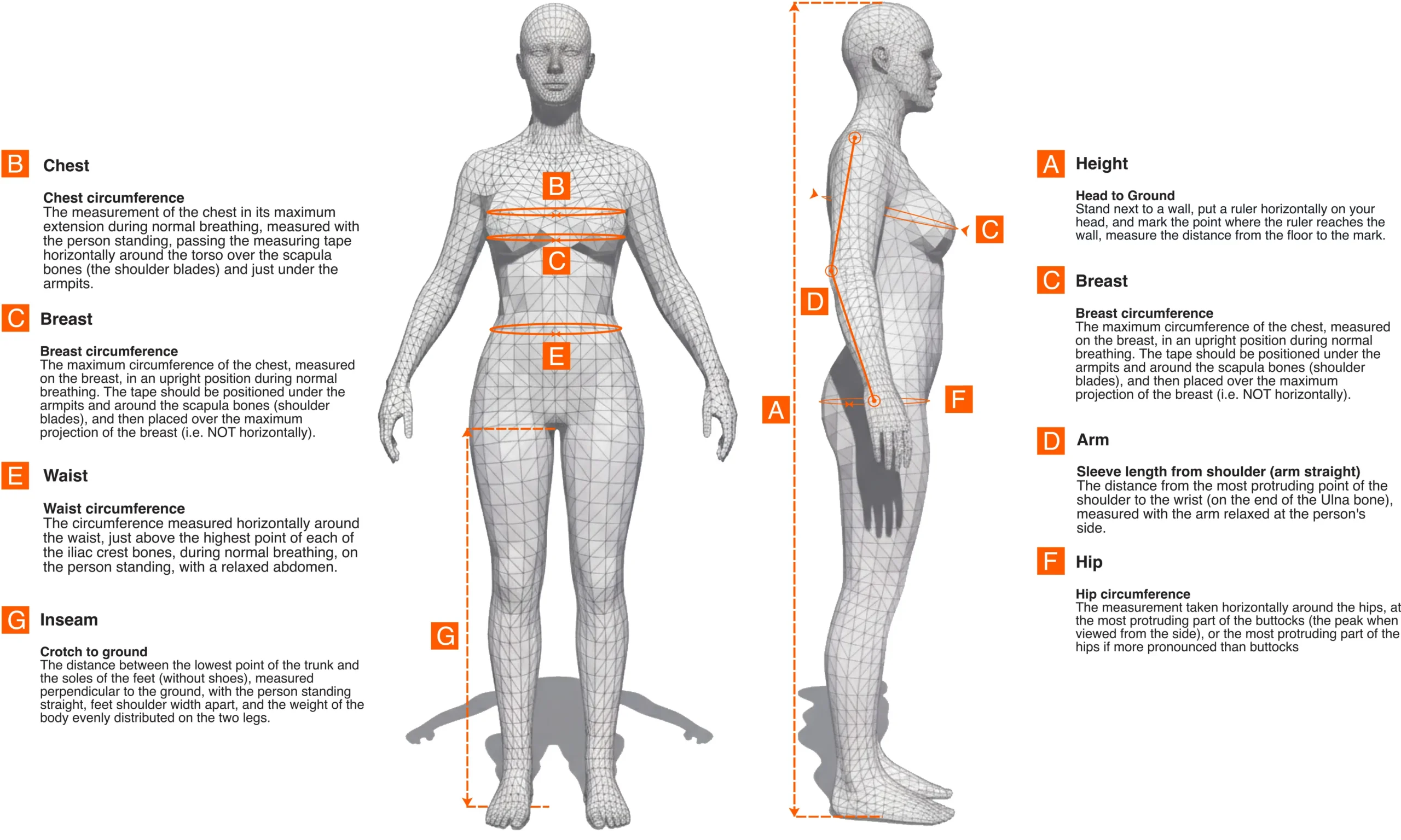 repsters-size-guide-for-women-leather-suit